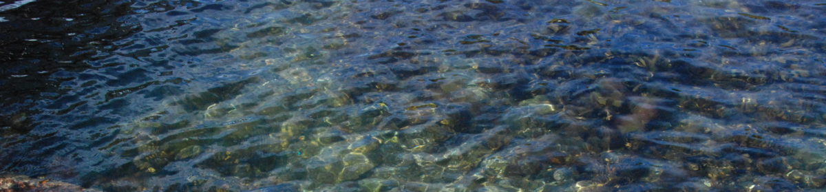 Kapten Gnissels Blogg